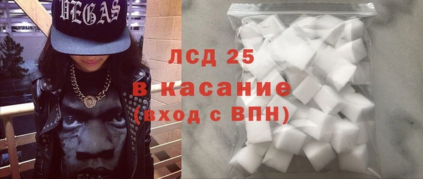молекула духа Арсеньев