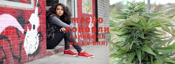 молекула духа Арсеньев