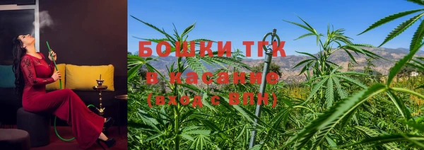 ПСИЛОЦИБИНОВЫЕ ГРИБЫ Наволоки